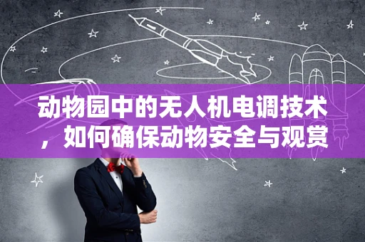 动物园中的无人机电调技术，如何确保动物安全与观赏体验的平衡？