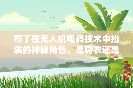 布丁在无人机电调技术中扮演的神秘角色，是糖衣还是真功夫？