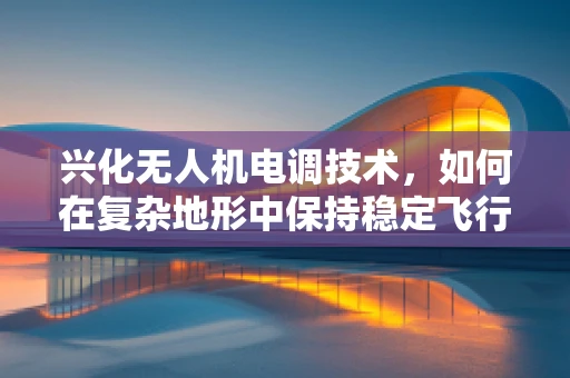 兴化无人机电调技术，如何在复杂地形中保持稳定飞行？