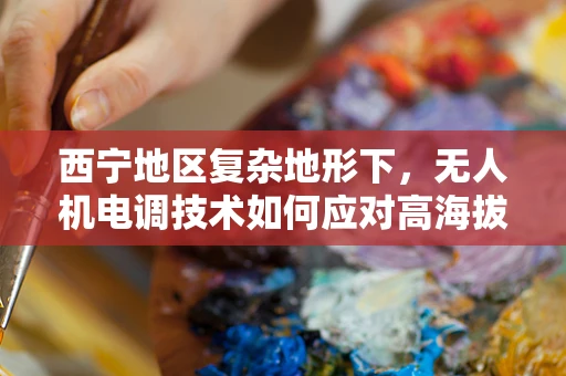 西宁地区复杂地形下，无人机电调技术如何应对高海拔挑战？