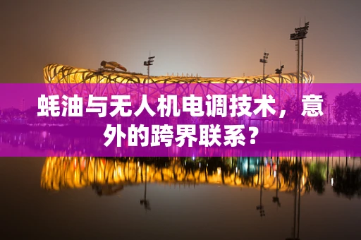 蚝油与无人机电调技术，意外的跨界联系？