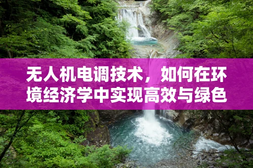 无人机电调技术，如何在环境经济学中实现高效与绿色的平衡？