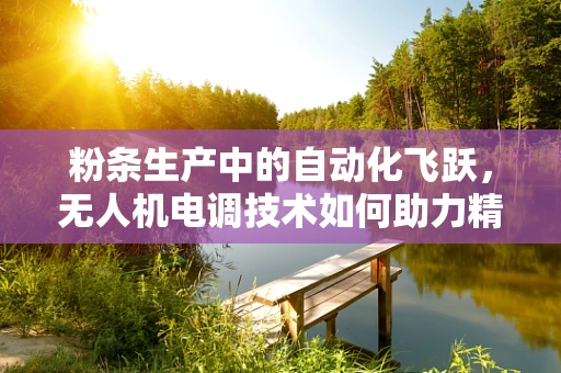 粉条生产中的自动化飞跃，无人机电调技术如何助力精准控制？