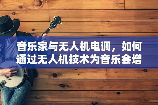 音乐家与无人机电调，如何通过无人机技术为音乐会增添空中旋律？