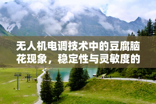 无人机电调技术中的豆腐脑花现象，稳定性与灵敏度的平衡挑战