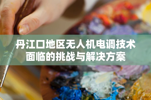 丹江口地区无人机电调技术面临的挑战与解决方案