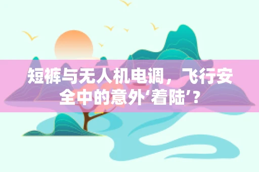 短裤与无人机电调，飞行安全中的意外‘着陆’？
