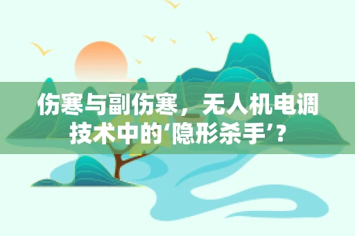 伤寒与副伤寒，无人机电调技术中的‘隐形杀手’？