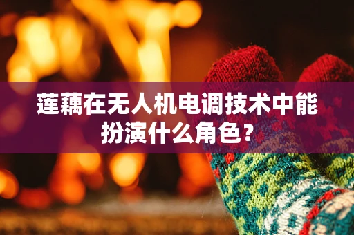 莲藕在无人机电调技术中能扮演什么角色？
