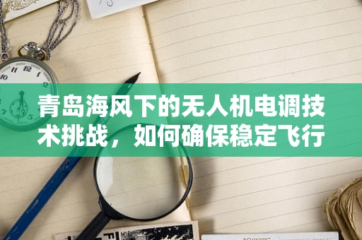 青岛海风下的无人机电调技术挑战，如何确保稳定飞行？
