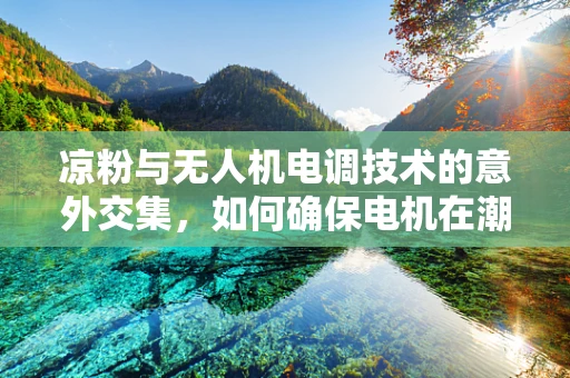 凉粉与无人机电调技术的意外交集，如何确保电机在潮湿环境下的稳定运行？