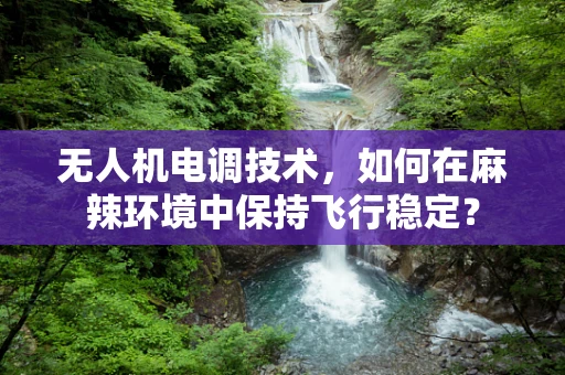 无人机电调技术，如何在麻辣环境中保持飞行稳定？