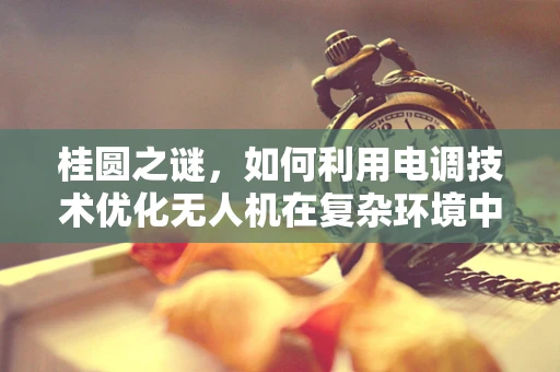 桂圆之谜，如何利用电调技术优化无人机在复杂环境中的导航？