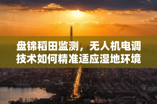 盘锦稻田监测，无人机电调技术如何精准适应湿地环境？