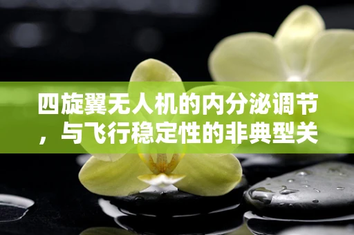 四旋翼无人机的内分泌调节，与飞行稳定性的非典型关联？