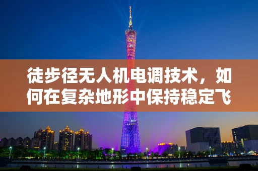 徒步径无人机电调技术，如何在复杂地形中保持稳定飞行？