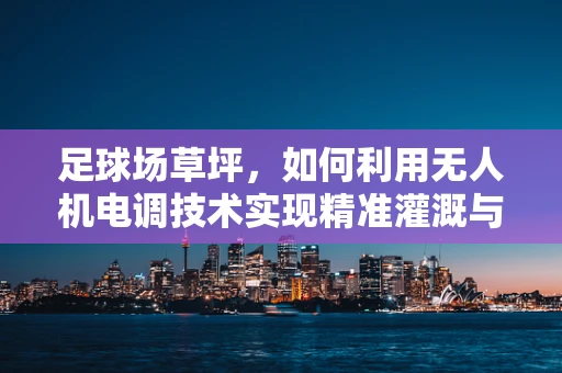 足球场草坪，如何利用无人机电调技术实现精准灌溉与维护？