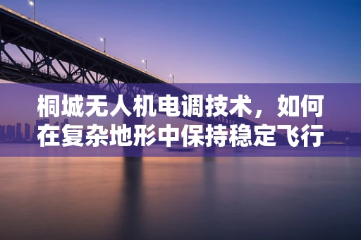 桐城无人机电调技术，如何在复杂地形中保持稳定飞行？