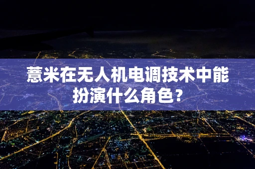 薏米在无人机电调技术中能扮演什么角色？