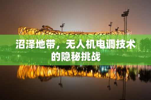 沼泽地带，无人机电调技术的隐秘挑战