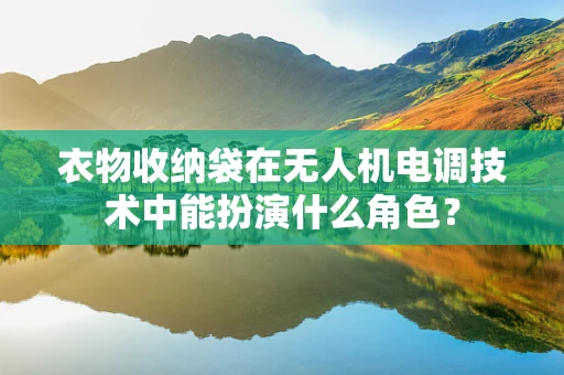 衣物收纳袋在无人机电调技术中能扮演什么角色？