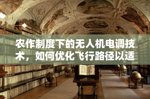 农作制度下的无人机电调技术，如何优化飞行路径以适应复杂农田环境？