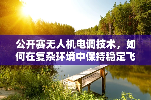 公开赛无人机电调技术，如何在复杂环境中保持稳定飞行？