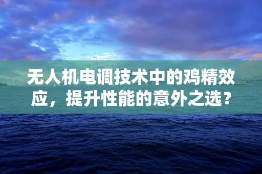 无人机电调技术中的鸡精效应，提升性能的意外之选？