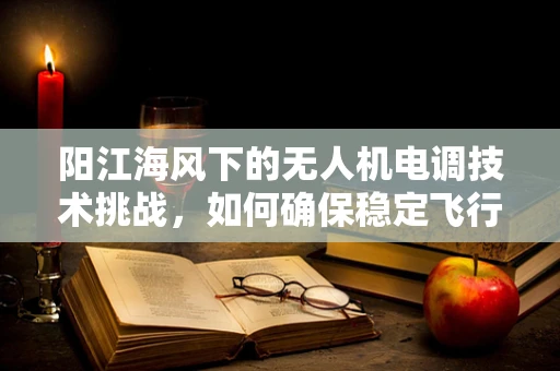 阳江海风下的无人机电调技术挑战，如何确保稳定飞行？