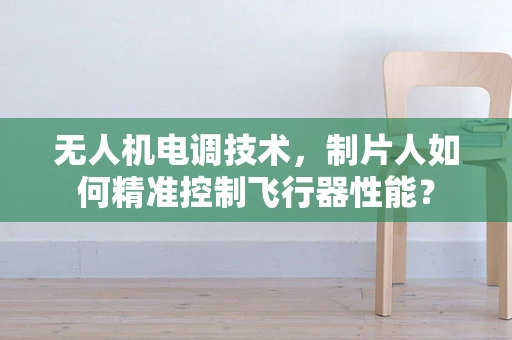 无人机电调技术，制片人如何精准控制飞行器性能？
