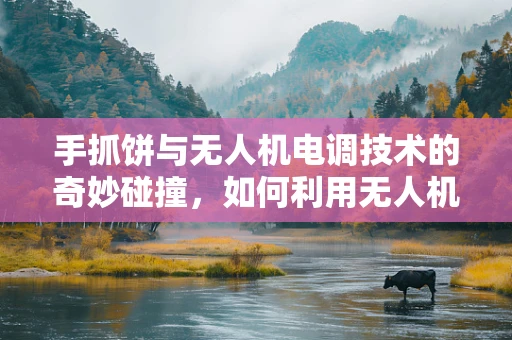 手抓饼与无人机电调技术的奇妙碰撞，如何利用无人机精准投送热腾腾的手抓饼？