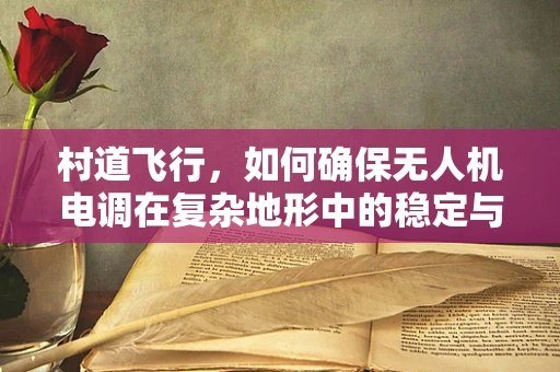 村道飞行，如何确保无人机电调在复杂地形中的稳定与安全？