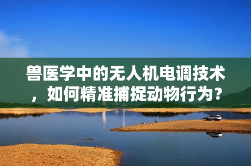 兽医学中的无人机电调技术，如何精准捕捉动物行为？