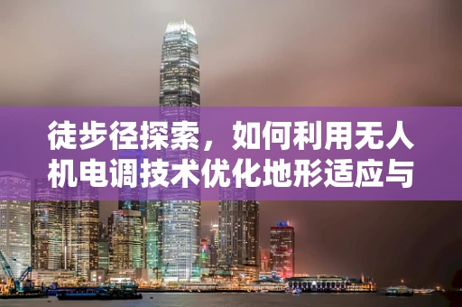 徒步径探索，如何利用无人机电调技术优化地形适应与路径规划？