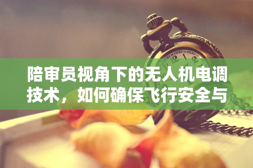 陪审员视角下的无人机电调技术，如何确保飞行安全与精准控制？