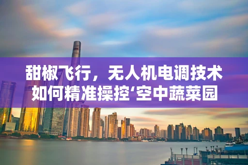 甜椒飞行，无人机电调技术如何精准操控‘空中蔬菜园’？