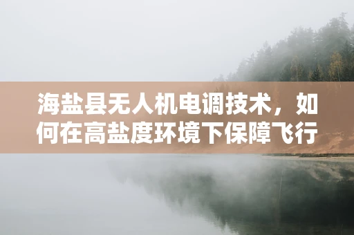海盐县无人机电调技术，如何在高盐度环境下保障飞行稳定？