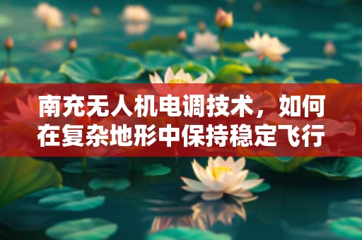 南充无人机电调技术，如何在复杂地形中保持稳定飞行？