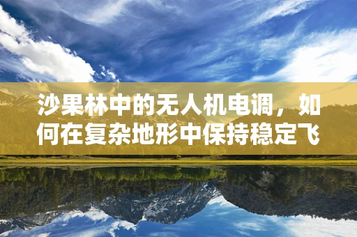 沙果林中的无人机电调，如何在复杂地形中保持稳定飞行？