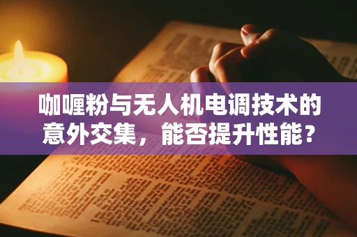 咖喱粉与无人机电调技术的意外交集，能否提升性能？