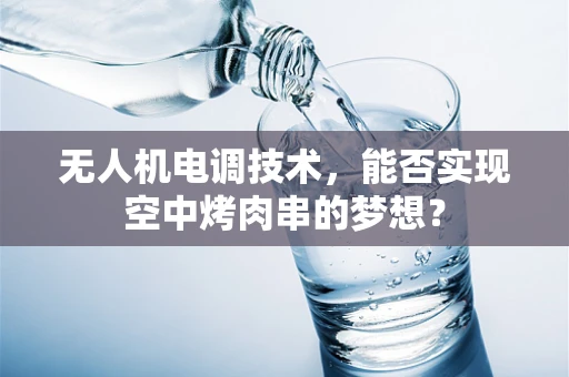 无人机电调技术，能否实现空中烤肉串的梦想？