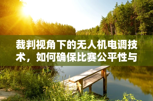 裁判视角下的无人机电调技术，如何确保比赛公平性与技术精度？