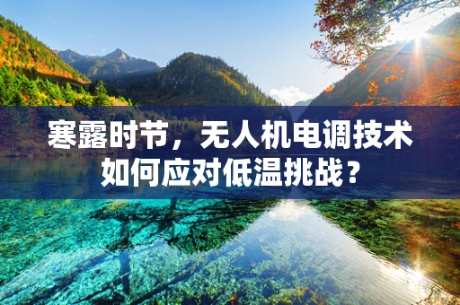 寒露时节，无人机电调技术如何应对低温挑战？