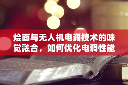 烩面与无人机电调技术的味觉融合，如何优化电调性能以适应复杂环境？