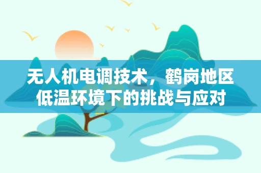 无人机电调技术，鹤岗地区低温环境下的挑战与应对