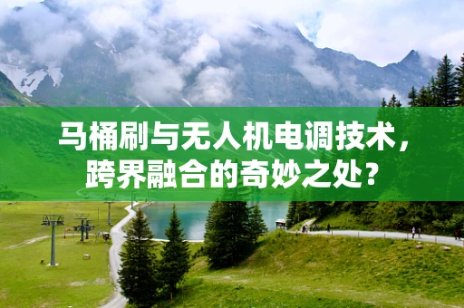 马桶刷与无人机电调技术，跨界融合的奇妙之处？