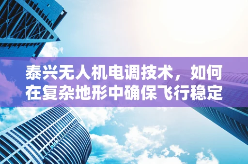 泰兴无人机电调技术，如何在复杂地形中确保飞行稳定？