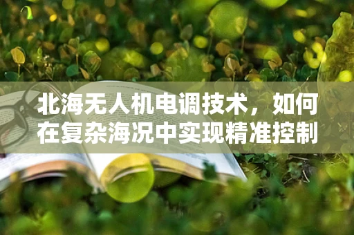 北海无人机电调技术，如何在复杂海况中实现精准控制？