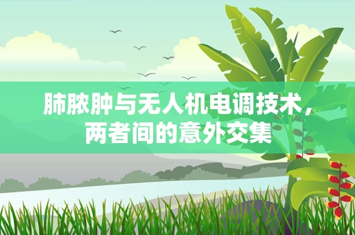 肺脓肿与无人机电调技术，两者间的意外交集