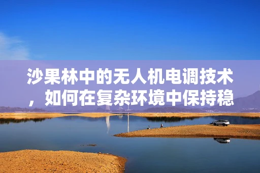 沙果林中的无人机电调技术，如何在复杂环境中保持稳定飞行？